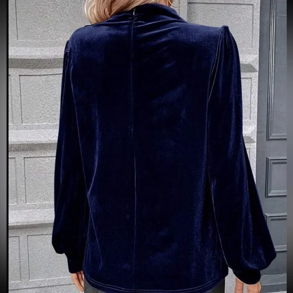 Luxe Velvet Cowl Neck Top Blouse Shirt - Picture 14 of 16